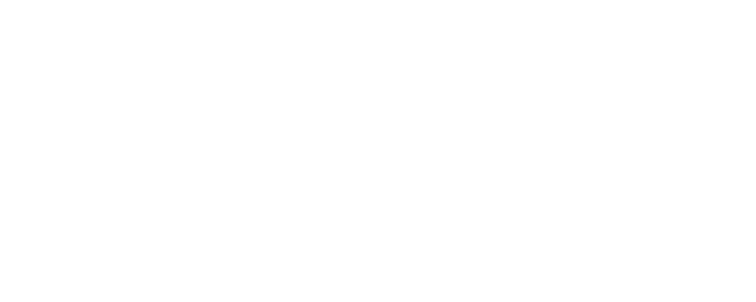 logo final white